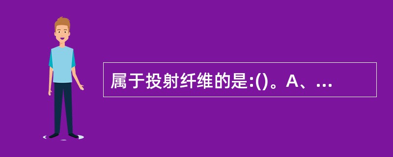 属于投射纤维的是:()。A、海马连合B、弓状纤维C、胼胝体D、外囊E、前连合 -