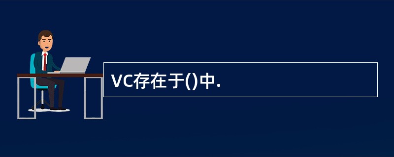 VC存在于()中.