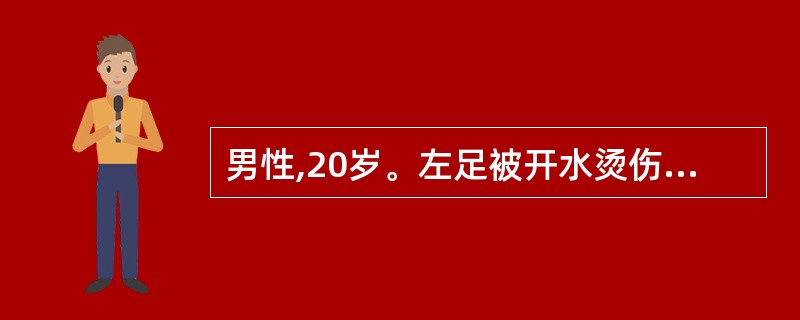 男性,20岁。左足被开水烫伤,疼痛剧烈,局部有水疱,其烧伤深度为A、Ⅰ度B、Ⅱ度