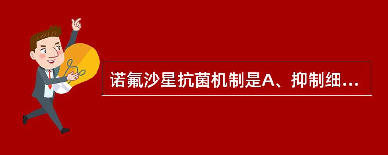诺氟沙星抗菌机制是A、抑制细菌细胞壁的合成B、抗叶酸代谢C、影响胞浆膜通道性D、