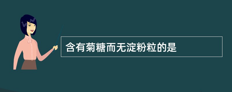 含有菊糖而无淀粉粒的是