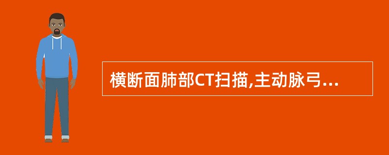横断面肺部CT扫描,主动脉弓通常显示在()。A、第三胸椎平面B、胸锁关节平面C、