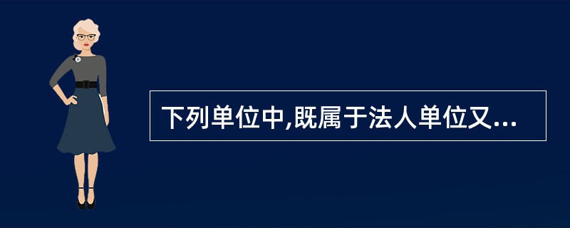 下列单位中,既属于法人单位又属于会计主体的有( )。 A、中航股份有限公司 B、