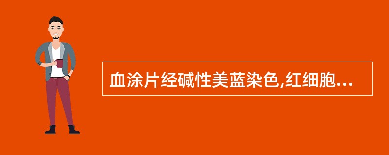 血涂片经碱性美蓝染色,红细胞呈浅蓝绿色,内有分布不匀的深蓝色颗粒,该细胞称为