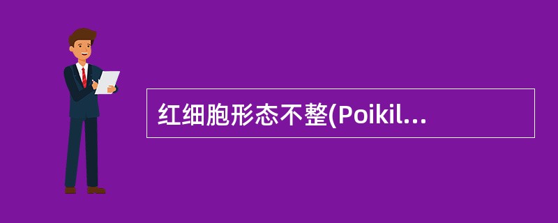 红细胞形态不整(Poikilocytosis)最常见于 A、 幼红细胞贫血 B、