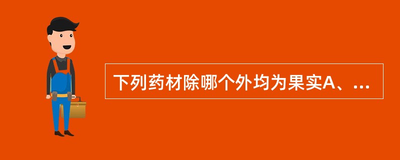 下列药材除哪个外均为果实A、地肤子B、五味子C、芥子D、川楝子E、使君子