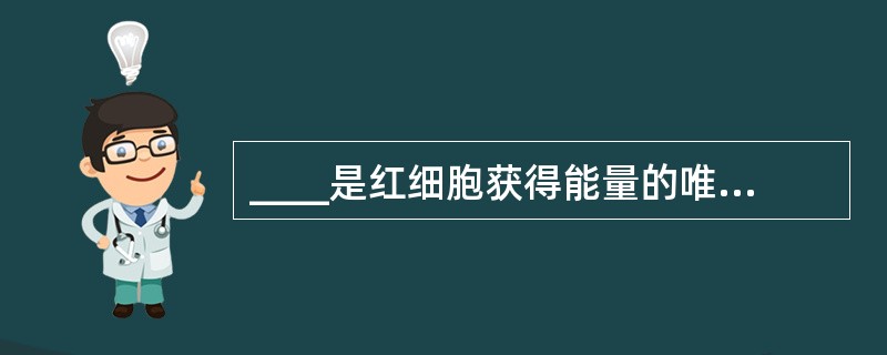 ____是红细胞获得能量的唯一途径。