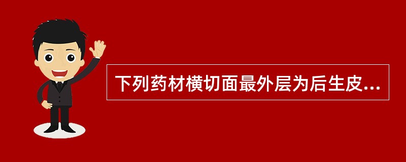 下列药材横切面最外层为后生皮层的是A、苍术B、川乌C、石菖蒲D、大黄E、天冬 -