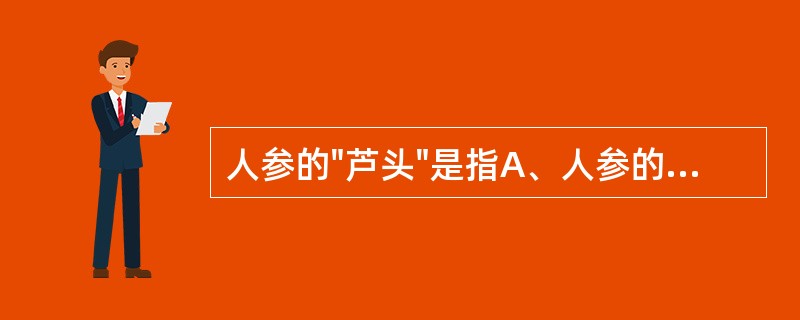 人参的"芦头"是指A、人参的根茎B、人参较粗的不定根C、人参较圆的主根D、人参的