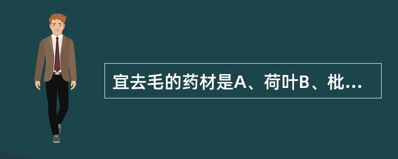 宜去毛的药材是A、荷叶B、枇杷叶C、金樱子D、鹿茸E、骨碎补