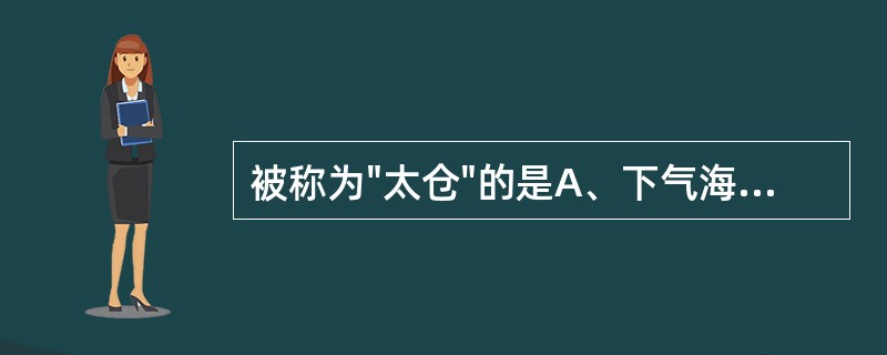 被称为"太仓"的是A、下气海B、上气海C、水谷之海D、血海E、髓海