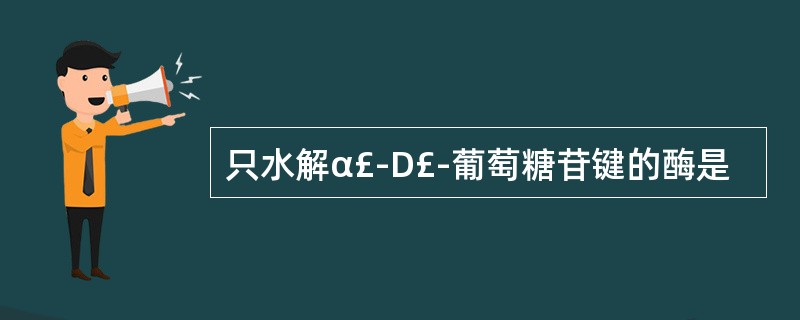 只水解α£­D£­葡萄糖苷键的酶是