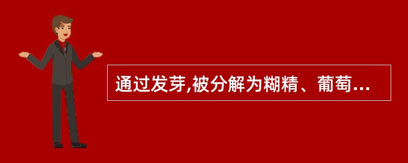 通过发芽,被分解为糊精、葡萄糖及果糖的是A、淀粉B、生物碱C、蛋白质D、脂肪E、