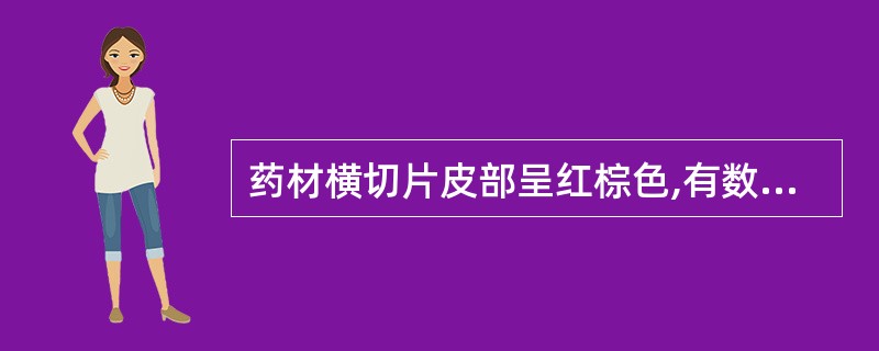 药材横切片皮部呈红棕色,有数处向内嵌入,木部黄白色,有细孔(导管),射线红棕色、