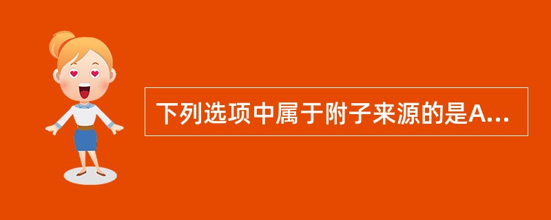 下列选项中属于附子来源的是A、毛茛科植物乌头子根的加工品B、毛茛科植物北乌头子根