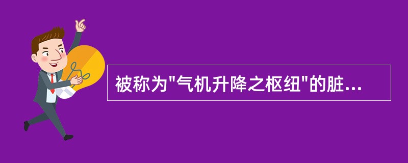 被称为"气机升降之枢纽"的脏腑是A、心、肾B、肝、肺C、脾、胃D、肺、肾E、脾、