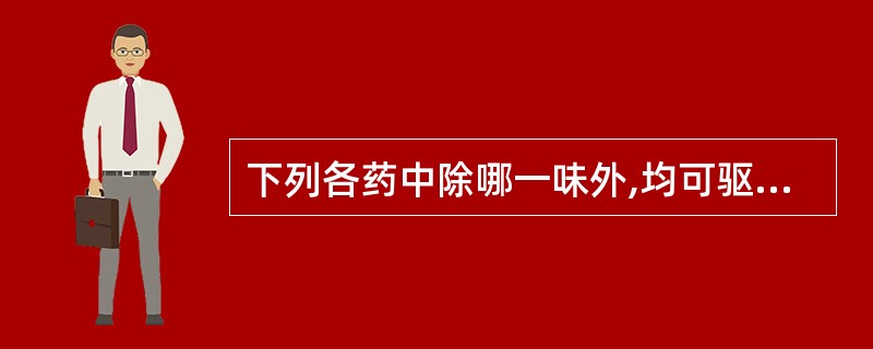 下列各药中除哪一味外,均可驱杀绦虫A、雷丸B、槟榔C、南瓜子D、使君子E、鹤草芽