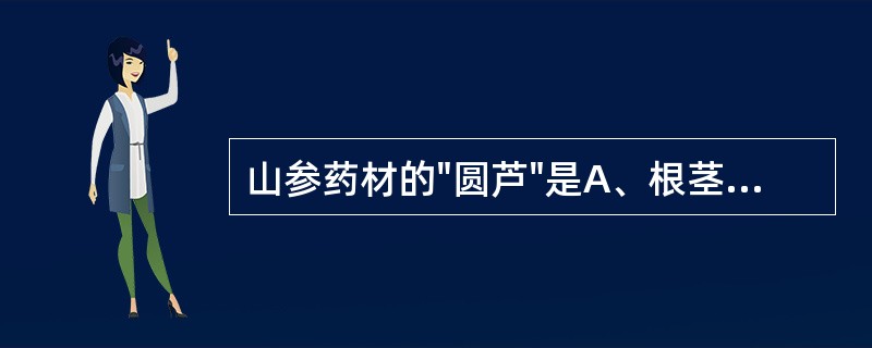 山参药材的"圆芦"是A、根茎较粗而圆,称"圆芦"B、主根较圆称"圆芦"C、较圆的