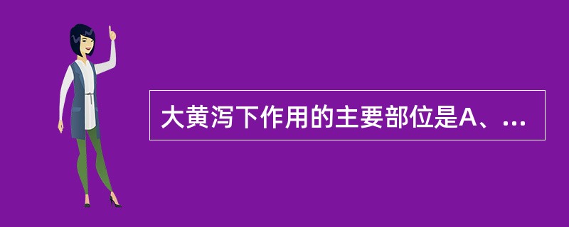 大黄泻下作用的主要部位是A、全肠管B、小肠C、大肠D、盲肠E、回肠