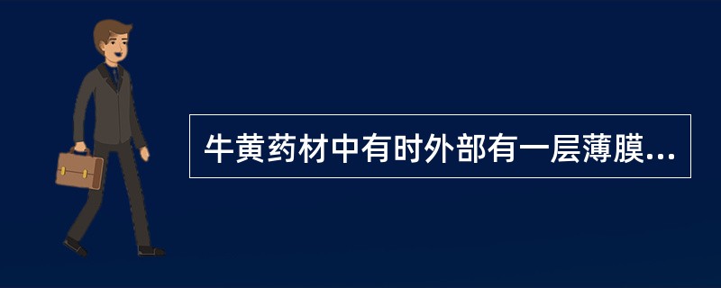 牛黄药材中有时外部有一层薄膜,呈黑色光亮者称