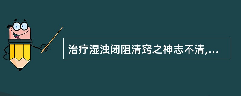 治疗湿浊闭阻清窍之神志不清,首选的药物组是