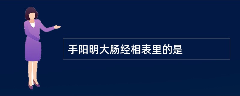 手阳明大肠经相表里的是