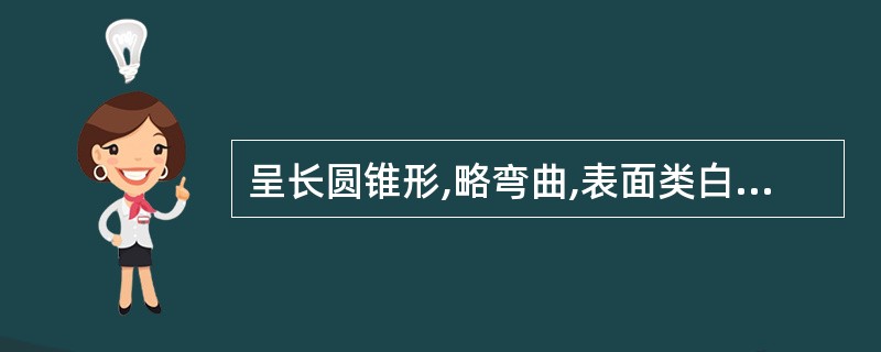 呈长圆锥形,略弯曲,表面类白色,有10~16个隆起的环节。此药材是