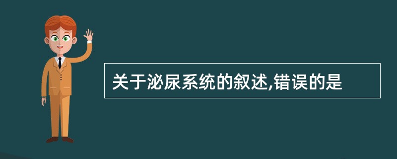 关于泌尿系统的叙述,错误的是