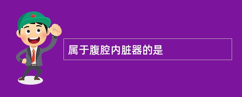 属于腹腔内脏器的是