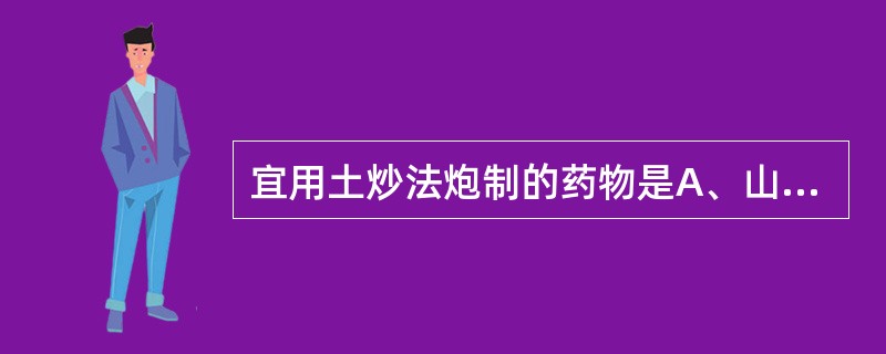 宜用土炒法炮制的药物是A、山药B、苍术C、枳壳D、枳实E、党参