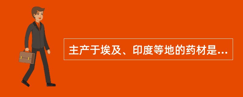 主产于埃及、印度等地的药材是A、蓼大青叶B、大青叶C、侧柏叶D、庐山石韦E、番泻