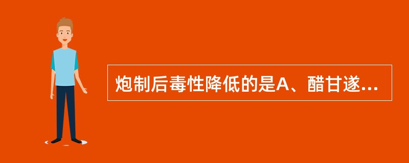 炮制后毒性降低的是A、醋甘遂B、醋柴胡C、盐黄柏D、酒川芎E、盐杜仲