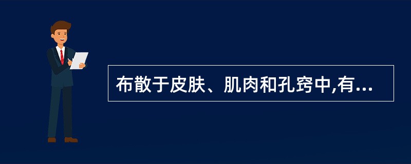 布散于皮肤、肌肉和孔窍中,有滋润作用的是A、精B、气C、血D、津E、液