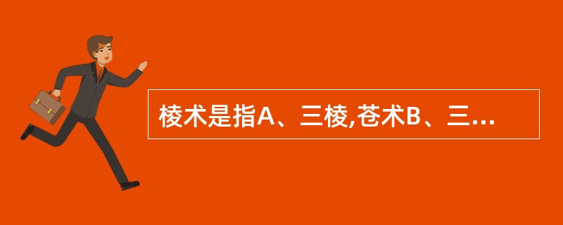 棱术是指A、三棱,苍术B、三棱,泽泻C、莪术,三棱D、三棱,白术E、黄精,莪术