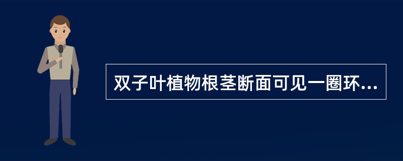 双子叶植物根茎断面可见一圈环纹为A、内皮层B、石细胞环带C、木质部D、形成层E、