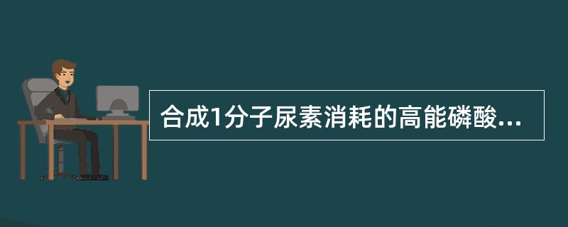 合成1分子尿素消耗的高能磷酸键数是A、1B、2C、3D、4E、5