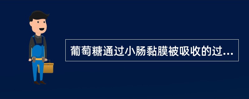 葡萄糖通过小肠黏膜被吸收的过程属于A、单纯扩散B、载体介导的易化扩散C、通道介导