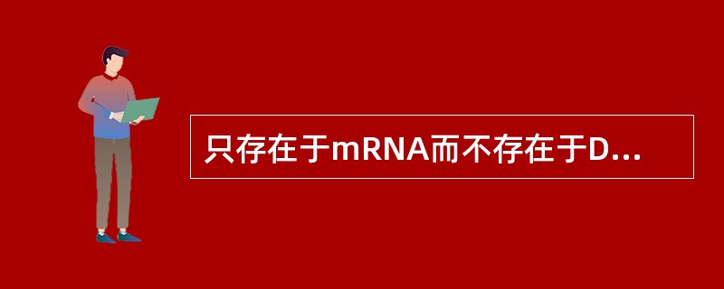 只存在于mRNA而不存在于DNA中的碱基是A、腺嘌呤B、胞嘧啶C、鸟嘌呤D、尿嘧