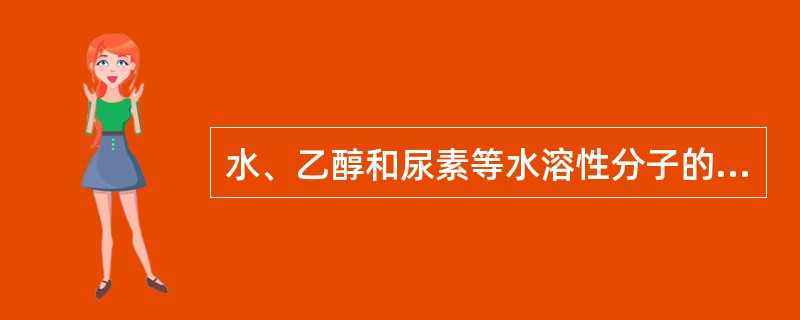 水、乙醇和尿素等水溶性分子的吸收是