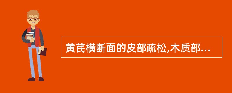 黄芪横断面的皮部疏松,木质部较结实,称为