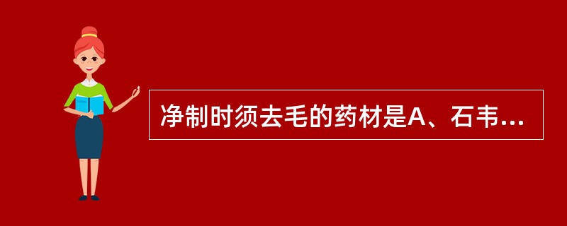 净制时须去毛的药材是A、石韦,枇杷叶B、土鳖虫,斑蝥C、大黄,黄柏D、龙胆,桔梗