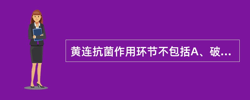 黄连抗菌作用环节不包括A、破坏细菌结构B、抑制蛋白质合成C、抑制细菌糖代谢D、抑