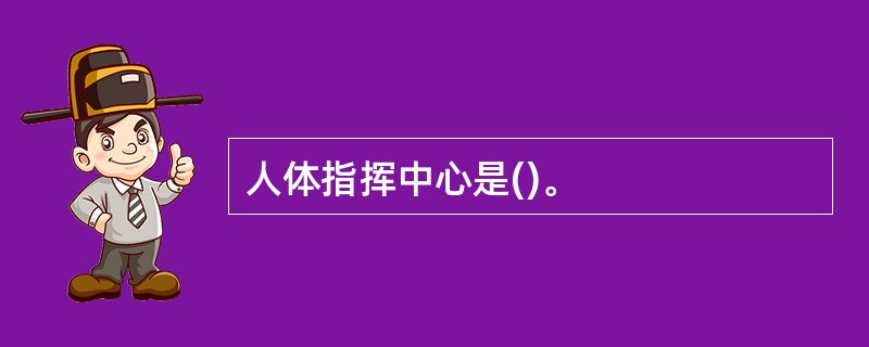 人体指挥中心是()。