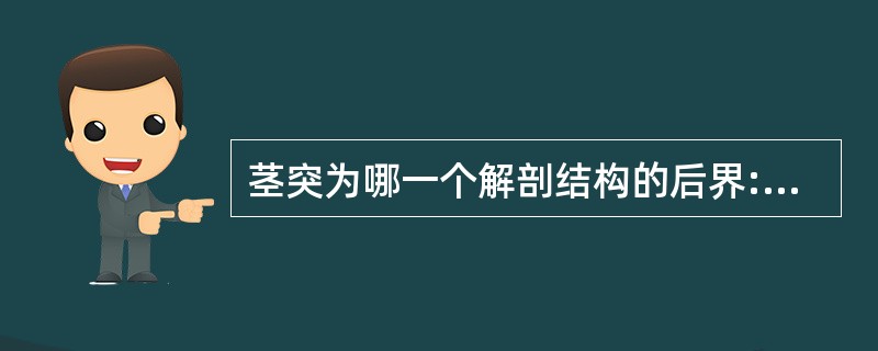 茎突为哪一个解剖结构的后界:()。A、颞窝B、颞下窝C、翼腭窝D、咽旁间隙E、咽