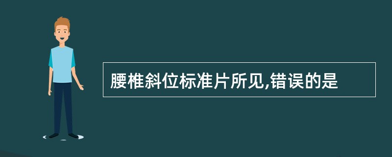 腰椎斜位标准片所见,错误的是