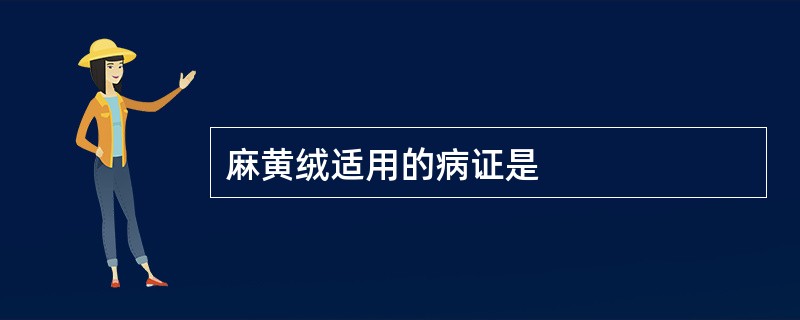 麻黄绒适用的病证是