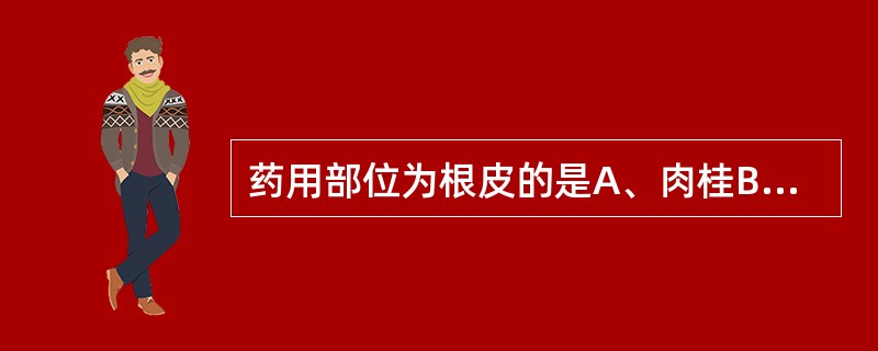 药用部位为根皮的是A、肉桂B、桑白皮C、秦皮D、合欢皮E、黄柏