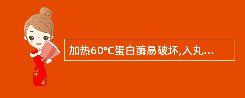 加热60℃蛋白酶易破坏,入丸散的是A、榧子B、雷丸C、使君子D、南瓜子E、槟榔