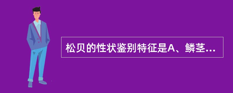 松贝的性状鉴别特征是A、鳞茎外层单瓣肥厚鳞叶,略呈新月形B、鳞茎扁球形,外层鳞叶