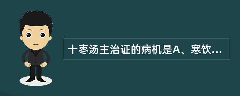 十枣汤主治证的病机是A、寒饮内停B、水热互结C、痰热互结D、水饮壅盛E、水气内停